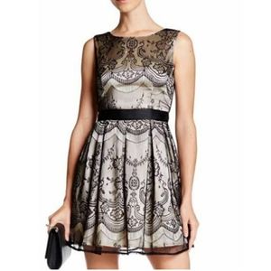 NWT London Dress Company 👗 Ava Lace overlay Dress